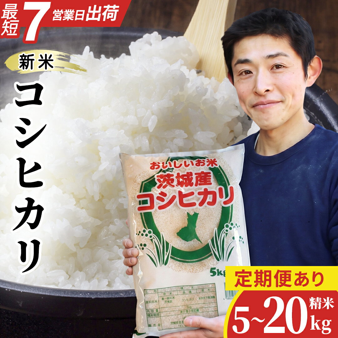 【ふるさと納税】≪新米≫ コシヒカリ 精米 5kg 10kg 15kg 20kg 定期便 令和8年産 産地直送 茨城県 城里町 新米 精白米 米 ご飯 こしひかり 米 白米 精米 単一原料米 コメ