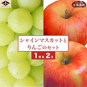 【ふるさと納税】シャインマスカット1房とりんご2玉のセット 約1.2kg ［小布施屋］フルーツ 果物 詰め合わせ 詰合せ 数量限定 シャインマスカット 林檎 単身用 一人暮らし 2人暮らし 長野県産 信州産 令和6年産 【2024年9月下旬頃～11月上旬頃まで順次発送】