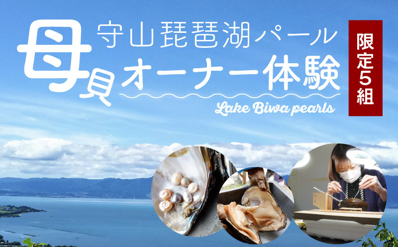 
            限定５組！琵琶湖パールの母貝オーナーになろう！2025年8月10日（日）真珠 パール イケチョウ貝 真珠貝 3枚 もりやま琵琶湖パール 真珠の取り出し  守山市
          