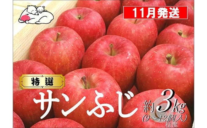 
            [№5554-0343]【11月発送】白熊 特選 サンふじ 絆 約3kg 糖度13度【青森りんご 果物 フルーツ 食後 デザート シャキシャキ ジューシー りんごの王様 】
          