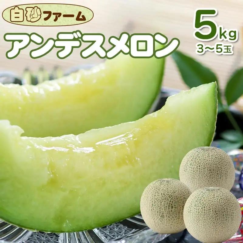 【令和9年産】 アンデスメロン 約5kg(3～5玉) 山形県鶴岡産 庄内砂丘メロン 白砂ファーム