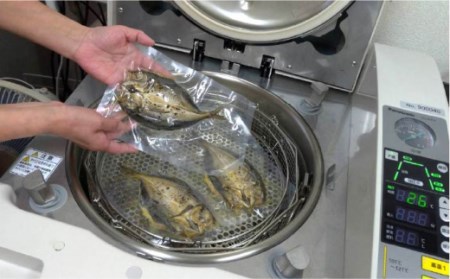 【全6回定期便】E 壱岐産 干物セット 家庭用 [JBD049] 干物 ひもの 定期便 レトルト