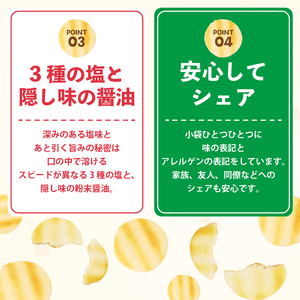 せんべい ぱりんこ 12袋 お菓子 塩  お米  新潟 せんべい  せんべい せんべい せんべい せんべい  miyuki004