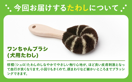 たわし職人がつくった「犬用たわしギフト」株式会社 北山正積商店 《90日以内に順次出荷(土日祝除く)》 和歌山県 紀の川市