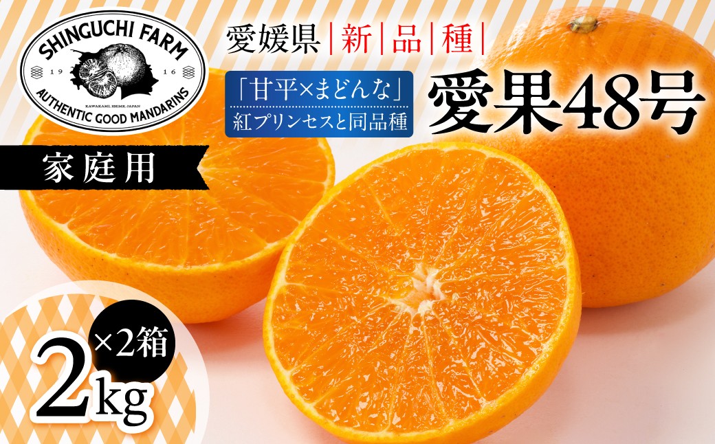
                  【先行受付】【紅プリンセスと同品種】「甘平×まどんな」愛果48号【2kg×2箱】【家庭用】【F70-111】【1683889】 YWTK110
                