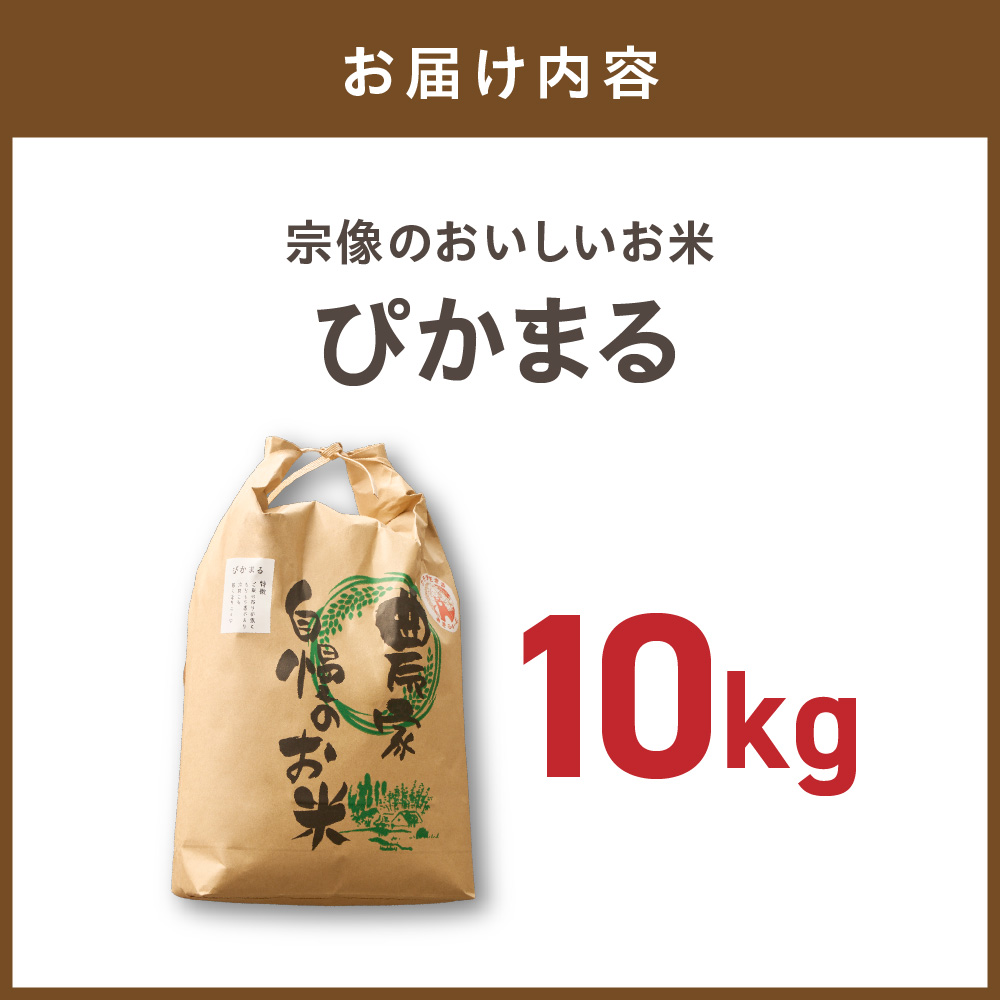 令和7年産 むなかた産 米 ぴかまる 10kg【みきふぁーむ】_HA1544