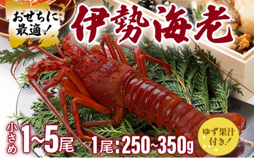 
                  ＜選べる容量＞伊勢海老おせちサイズ 1~5尾｜国産 東洋町産 天然 新鮮 海鮮 ゆず果汁付き 刺身 焼き ボイル 生 四国 お取り寄せ お祝い 記念日 贈り物 お正月 送料無料
                