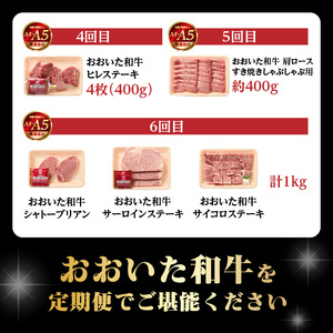 【毎月配送】【おおいた和牛堪能】毎月6回お届け定期便