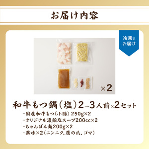 国産和牛もつ鍋（塩味）2～3人前×2セット ／ ちゃんぽん麺 もつ鍋【B067】