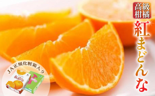 【2026年11月頃から順次発送】 紅まどんな ＜JA正規化粧箱入り＞ 約3kg | 紅マドンナ べにまどんな まどんな みかん ミカン 蜜柑 果物 くだもの フルーツ マドンナ べにまどんな 高級 贈答 ギフト 贈り物 柑橘 柑橘類 かんきつ 愛媛果試第28号 愛果28号 常温 国産 愛媛 愛媛県 松山市