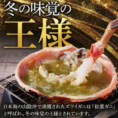 ふるさと納税 境港市 <11月中旬〜3月中旬発送予定><期間限定>活松葉ガニ 特々大 1.2kg以上 |  | 01