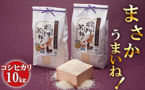 No.125 将門米ね！（まさかうまいね！） コシヒカリ10kg ／ お米 こしひかり 茨城県