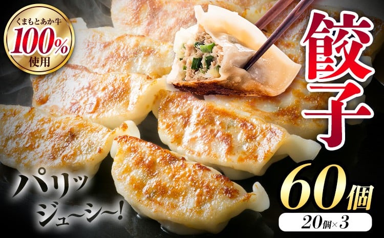 
                  くまもと あか牛 100％ 餃子 20個入り×3(計60個) 牛肉《30日以内に出荷予定(土日祝除く)》
                