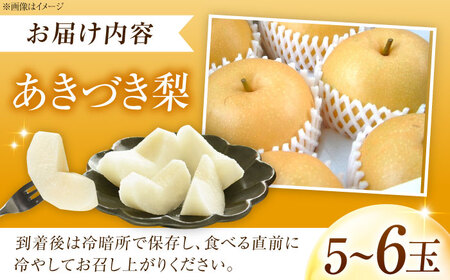 尾形農園のあきづき梨 5～6玉入 〈2026年9月～発送〉 ／ フルーツ 果物 くだもの 食品 人気 おすすめ 送料無料 梨 なし 果実 あきづきなし 【株式会社内子フレッシュパークからり】 [BKA