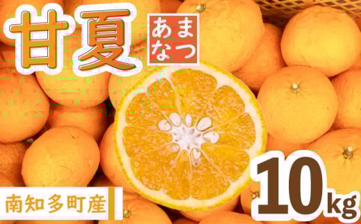 【先行予約】【1月より順次発送】 甘夏 約10kg 国産 化学肥料不使用 あまなつ みかん 蜜柑 柑橘 果物 フルーツ デザート アレンジ レシピ 付き 人気 おすすめ 愛知県 南知多町 【配送不可地域：北海道 青森 秋田 岩手 沖縄 離島】