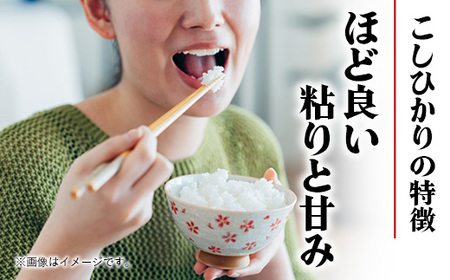 令和6年幸手産 こしひかり【精米】5㎏×1袋 - コシヒカリ 精米 5kg 令和６年産 埼玉県 幸手市 幸手市産