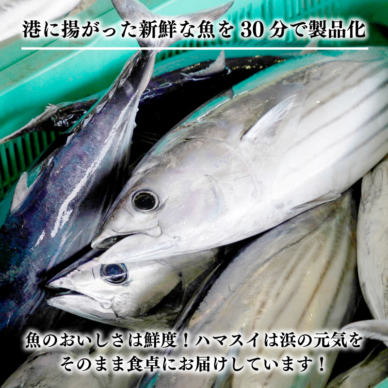 特選 かつおの塩たたき 3節 セット タレ 藻塩 付き 10000円 鰹のたたき カツオたたき 鰹たたき 塩タタキ 食べ物 旬 お手軽 魚海鮮 魚介 父の日 正月 敬老の日 還暦祝い 祝い 小分け 真