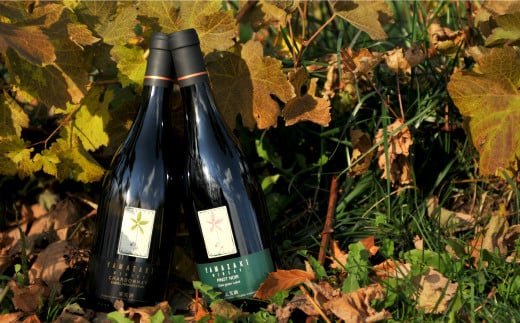 三國シェフ推奨！山崎ワイン(赤・白２本セット)各750ml《2026年1月下旬発送予定》【01008】