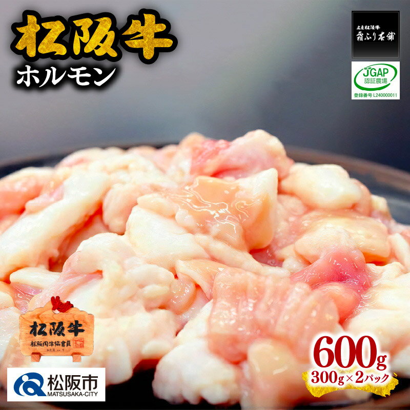 【ふるさと納税】松阪牛ホルモン600g(300g×2P) 松阪牛 松坂牛 牛肉 ブランド牛 高級 和牛 日本三大和牛 国産 ホルモンミックス ミックスホルモン もつ鍋 モツ鍋 ホルモン鍋 もつ煮 モツ煮 焼肉 焼き肉 バーベキュー 冷凍 小分け
