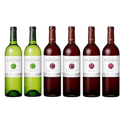 ふるさと納税 南魚沼市 雪室貯蔵ワイン(750ml)　6本セット