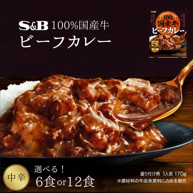 【ふるさと納税】「S&B」国産牛ビーフカレー＜中辛＞ 6個 or 12個（1袋170g）