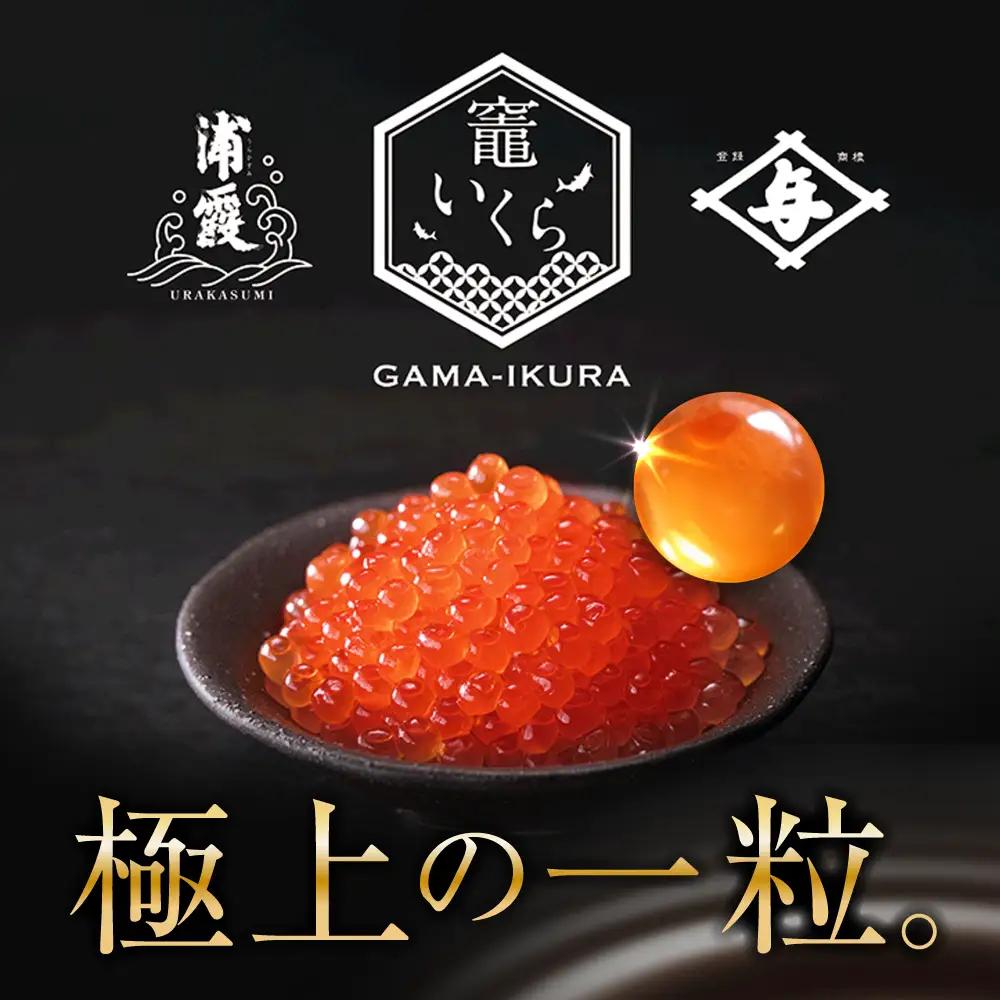 いくら醤油漬け 200g 鮭卵 いくら 塩竈