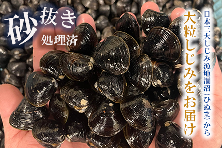 涸沼産 大粒 冷凍 シジミ 1.6kg （400ｇ×4袋） しじみ 蜆 大和しじみ ヤマトシジミ 大玉 砂抜き済 冷凍 味噌汁 スープ 魚貝類 貝 オルニチン コハク酸 小分け