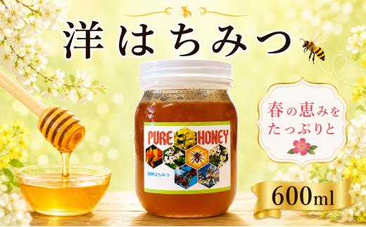 はちみつ 国産 洋はちみつ 600g 西洋みつばち 洋 蜂蜜 蜜蜂 みつばち 純粋はちみつ ハニー 美容 健康 栄養豊富 コーヒー 紅茶 レモン ミルク ジンジャー スイーツ ヨーグルト パンケーキ トースト 保存食 菓子 産地直送 徳島県 三好市 みよし