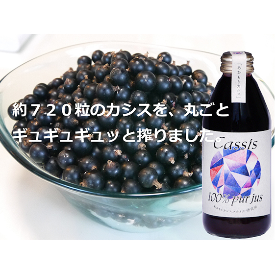 カシス果汁100％ジュース（無加糖・無添加）　250ml×2本