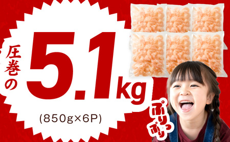 むきえび 総量 5.1kg 特大5Lサイズ【下処理不要 小分け 850g×6P 訳あり サイズ不揃い バナメイエビ バラ凍結】