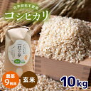 【ふるさと納税】 農薬9割減 ・ 化学肥料不使用 コシヒカリ(玄米) 10kg （10月中旬以降の発送）｜ 有機農産物認証推進協会認定 玄米 お米 米 こしひかり 農薬減 美祢市 山口県 秋芳 カルスト台地 湧き水 ミネラル 結び家 くらとも