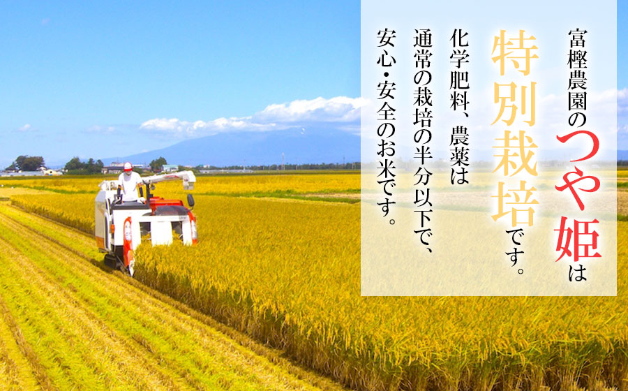 【令和7年産米 先行予約】富樫農園の特別栽培米 つや姫 精米5kg　K-732 1回発送 5kg