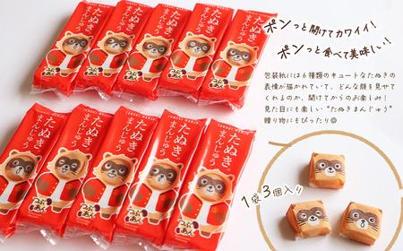 西条銘菓「たぬきまんじゅう」つぶあん プレーン 30個入 化粧箱｜ 和菓子 饅頭 個包装