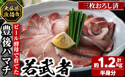 
                  ＜先行予約受付中！2026年11月以降順次発送予定＞豊後ハマチ 若武者(三枚おろし半身) ハマチ はまち 鮮魚 旬 刺身 三枚おろし 国産 大分県 佐伯市 特産品 さしみ【GS003】【浪井丸天水産】
                