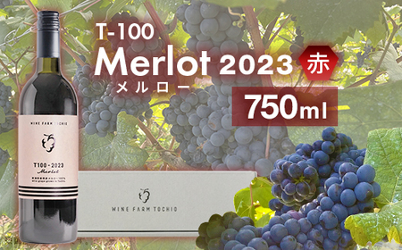 24-05T100 Merlot〈赤〉2023 750ml【ワインファームとちお】