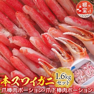 ふるさと納税 根室市 本ズワイガニ(爪棒肉・爪下棒肉)計1.6kg C-14031