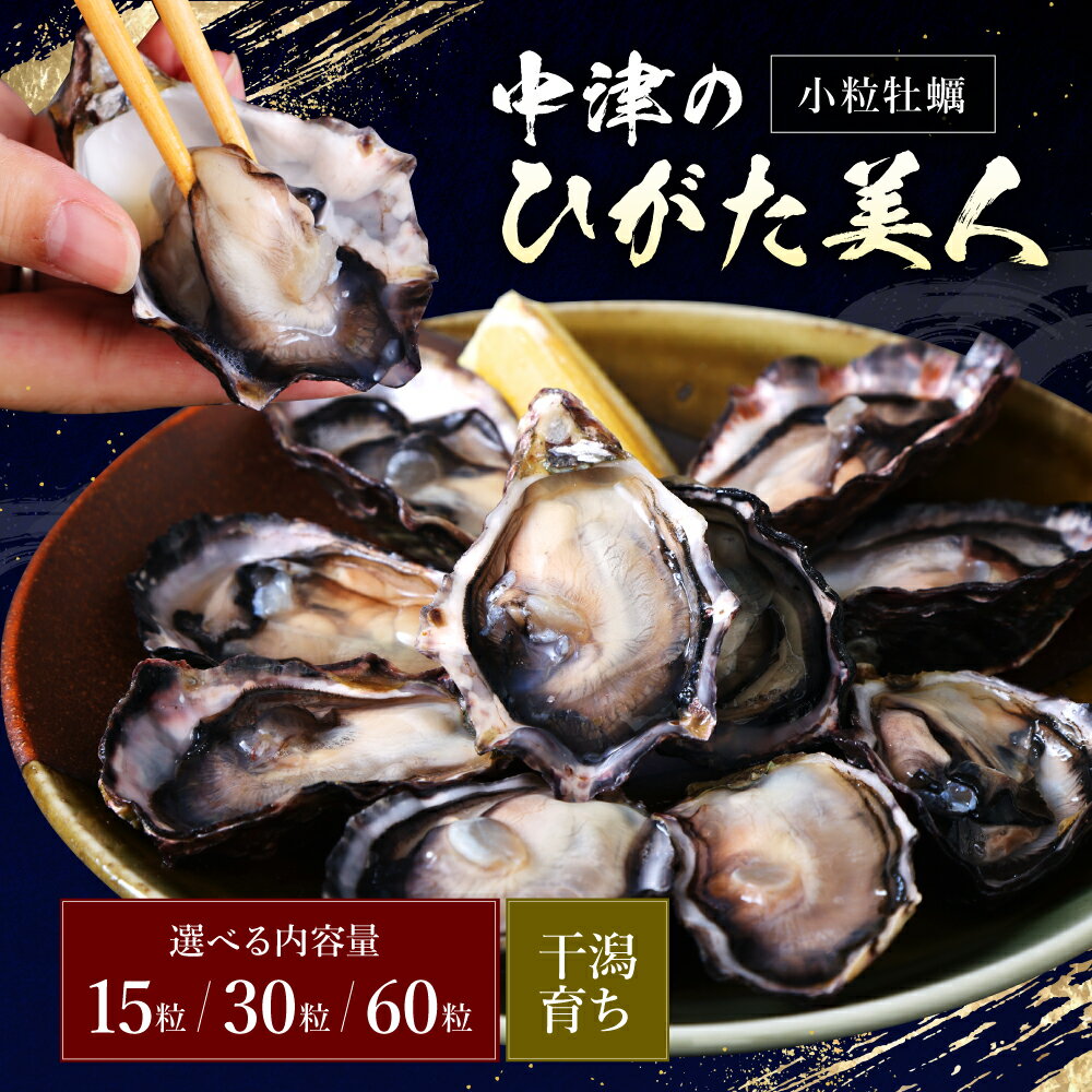 【ふるさと納税】【期間限定】中津ひがた美人 牡蠣 選べる 内容量 15粒 / 30粒 / 60粒 養殖 | 冷蔵 かき オイスター 酒の肴 つまみ おかず 大分県産 九州産 国産 大分県 中津市 送料無料＜発送期間：令和7年12月～令和8年4月末までの予定＞
