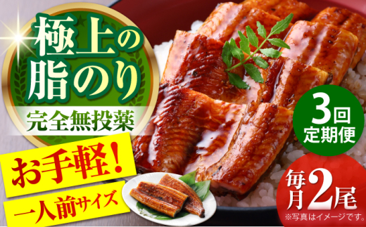 【3回定期便】高知県産 うなぎ蒲焼き 約90g×2尾 タレ付き 【株式会社 四国健商】 [ATAF146] うなぎ ウナギ 鰻 炭火焼 手焼き ひつまぶし 土用の丑の日
