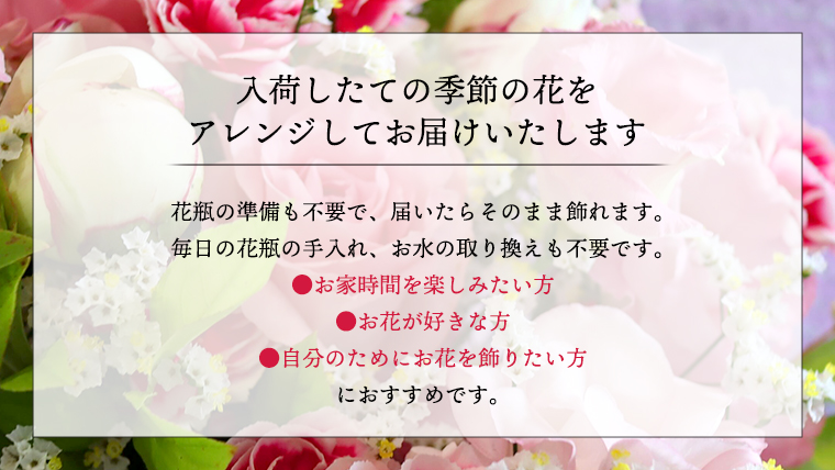 ≪定期便≫季節のお花アレンジメントミニ＊12回 アレンジメント 生花 [CT014ci]