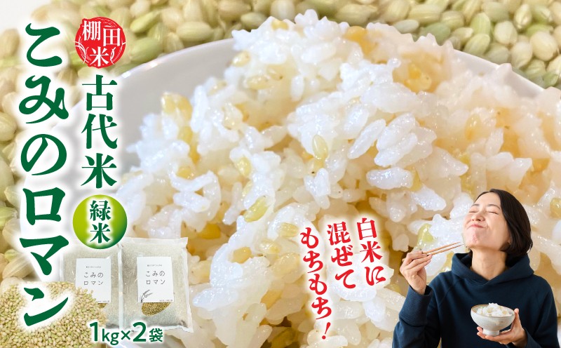 
                  古代米「こみのロマン」 | 小蓑 古代米 緑米 もちもち プチプチ 緑米ごはん ごはん ご飯 朝食 おにぎり お弁当 おむすび 国産 美味しい おすすめ 香川県 三木町 |_mk156-004
                