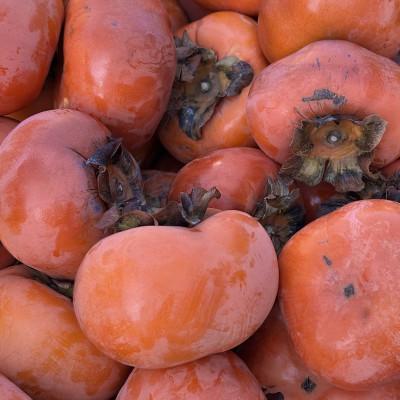 ふるさと納税 多気町 【令和8年先行予約】優しい農園　フードロス次郎柿　5kg　20数個〜30数個目安　大きな傷等　訳あり