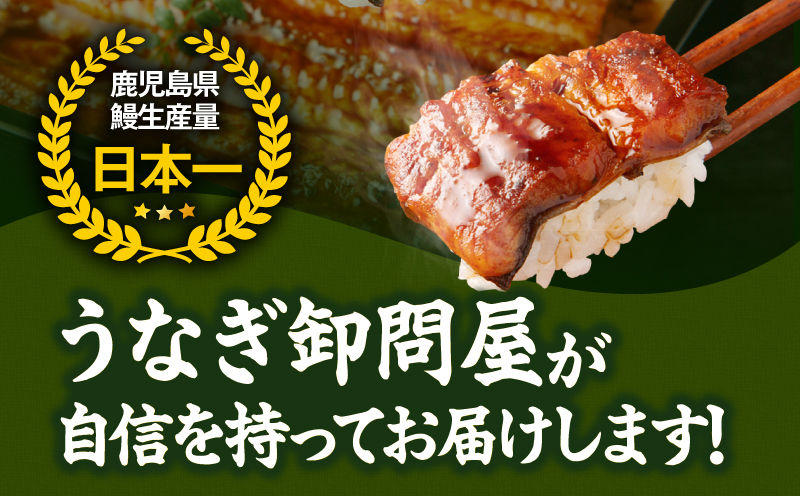 1386 大隅特産うなぎ蒲焼2尾（340g）　KN060-001-01