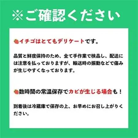 【12月上旬より順次発送】酸味と甘みの絶妙なバランス・冬あまおう6パック(大牟田市)_果物・フルーツ いちご  イチゴ 苺_【配送不可地域：離島・北海道・沖縄県】【1226662】