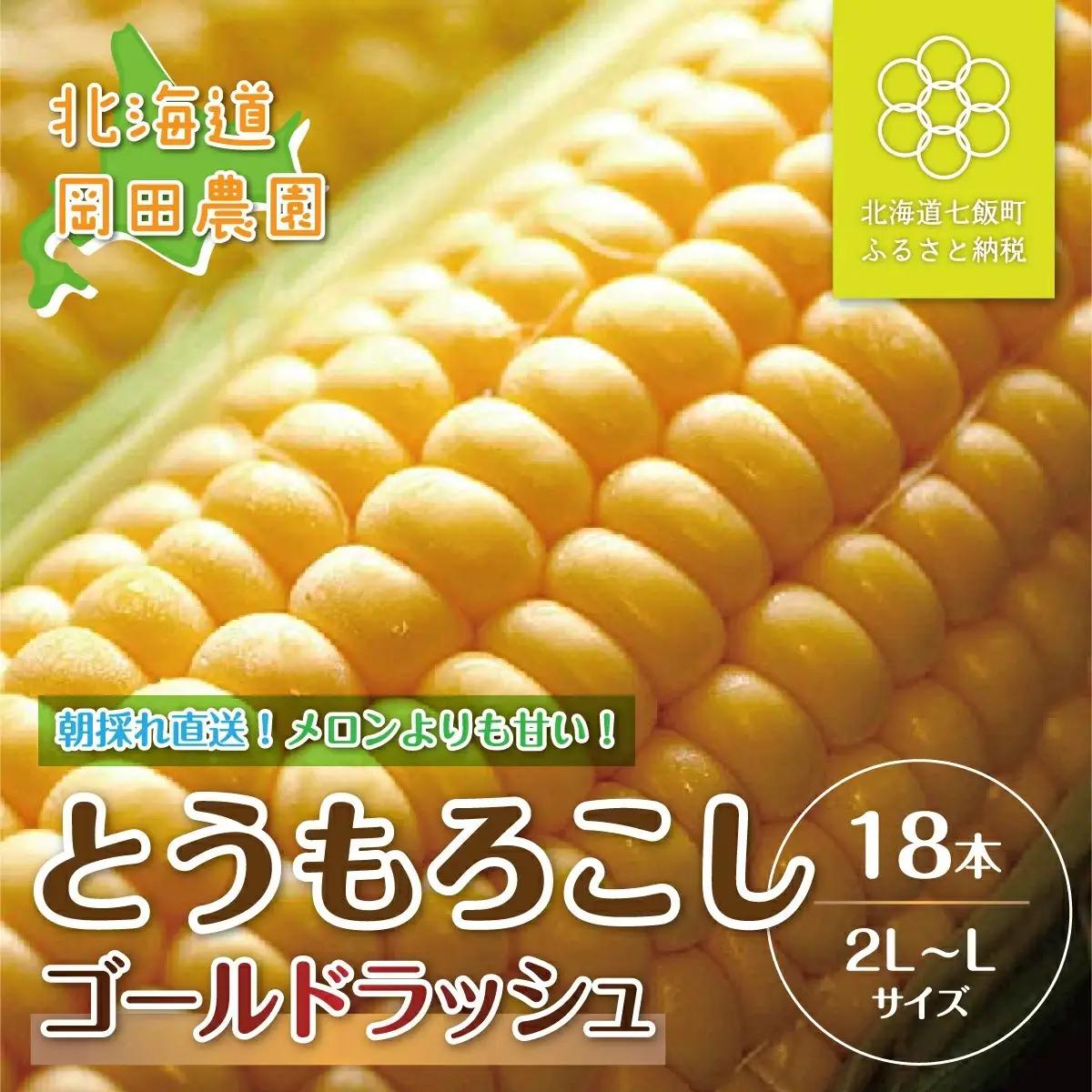 【令和8年発送先行予約】北海道七飯町産とうもろこし「ゴールドラッシュ」18本セット NAZ012 | とうもろこし