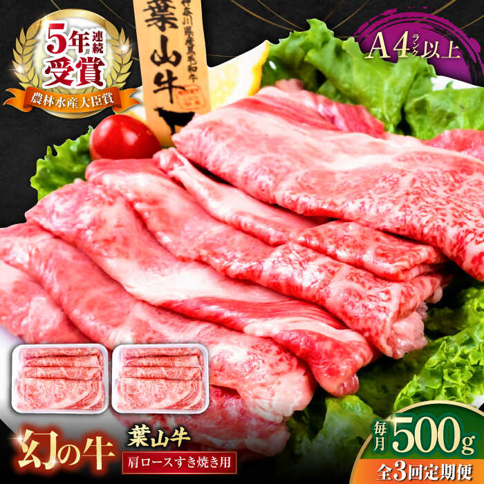 【ふるさと納税】【全3回定期便】葉山牛肩ロースすき焼き用 250g×2パック 計500g 国産牛 牛肉 切り落とし 高級和牛 冷凍 黒毛和牛 国産 和牛 肩ロース 赤身 希少品種 小分け すき焼き すきやき ぎゅうにく きりおとし 大容量 横須賀 お取り寄せ【株式会社羽根】[AKAG036]
