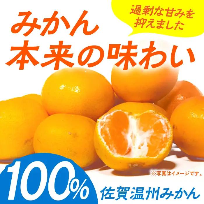 【みかんジュース】【家庭用】さがみかん100 1L×6本 [HAM039]みかんジュース 果汁100% 濃縮還元 温州