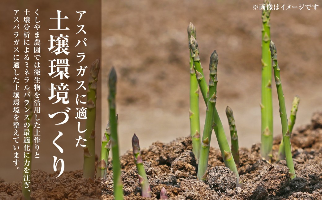 くしやま農園では、アスパラガスに適した土壌環境を整えています