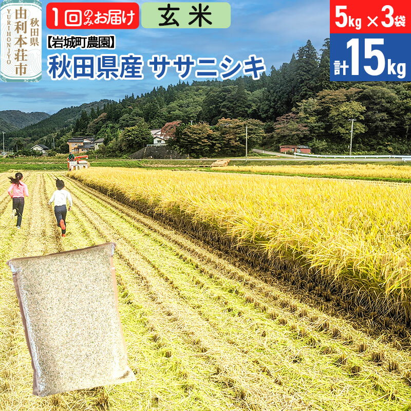 【ふるさと納税】《令和7年産》【玄米】ササニシキ 15kg(5kg×3袋) 秋田県 由利本荘市産 令和7年産 真空パック 岩城町農園