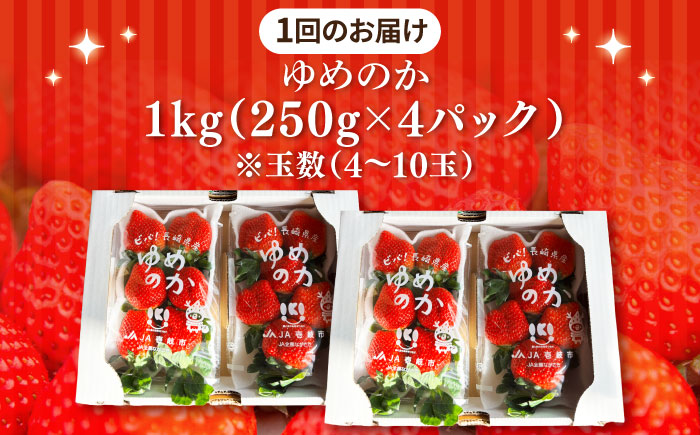 【先行予約】【全3回定期便】ゆめのか 約250g×4パック【2027年1月以降順次発送】《壱岐市》【Strawberry Gang】 [JEM002] いちご イチゴ 苺 定期便 果物 フルーツ スムージー 45000 45000円