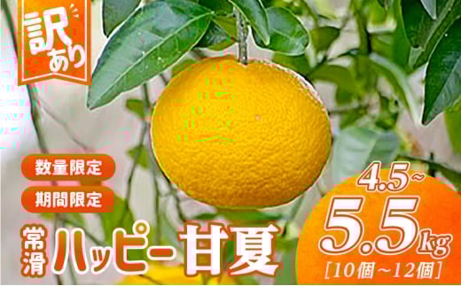 【訳あり】常滑ハッピー甘夏 果物 フルーツ 柑橘 あまなつ アマナツ みかん 訳あり ご家庭用 数量限定 愛知県 常滑市 知多半島